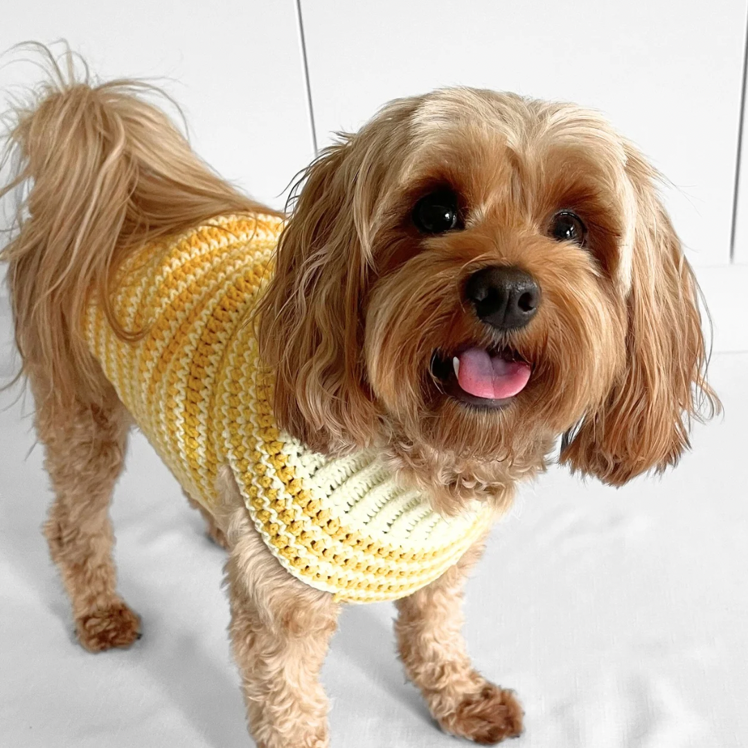 Stripe Sweater