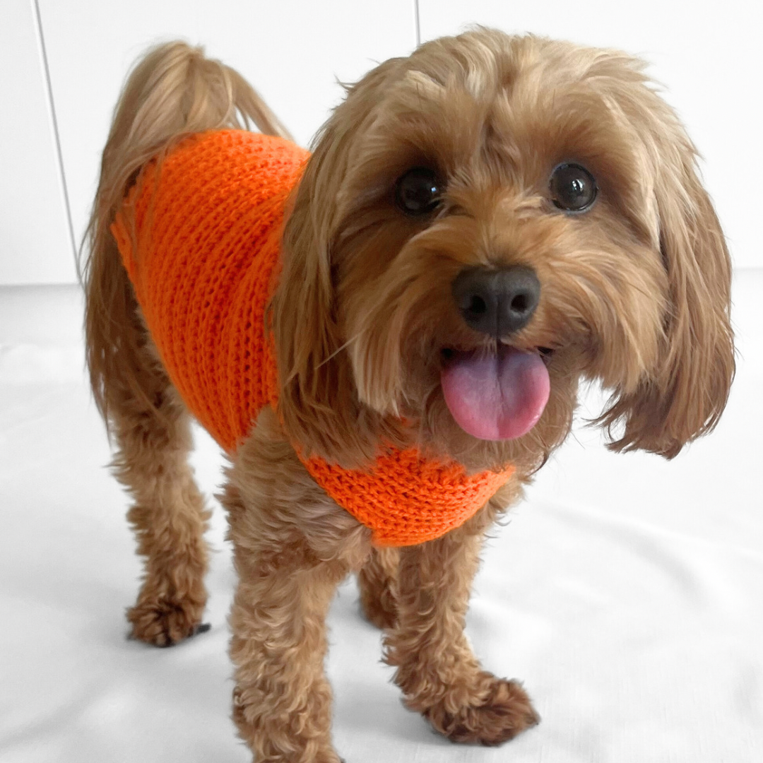 Ribbed Pet Sweater