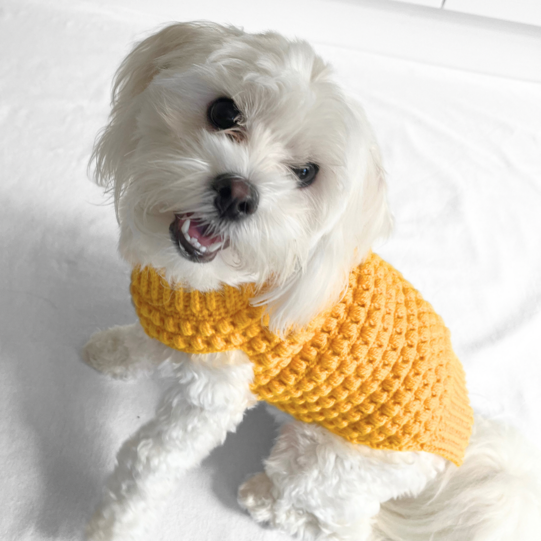 Puff Stitch Sweater