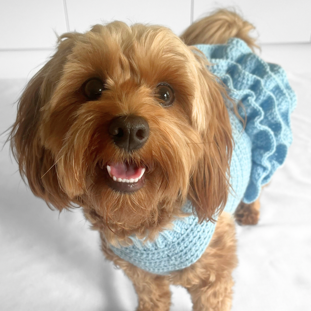 Ribbed Pet Dress
