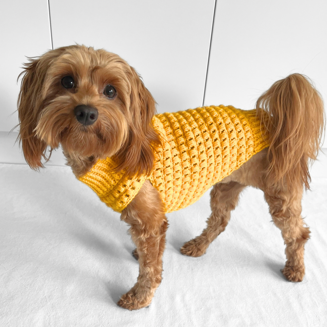 Puff Stitch Sweater